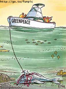 greenpeace