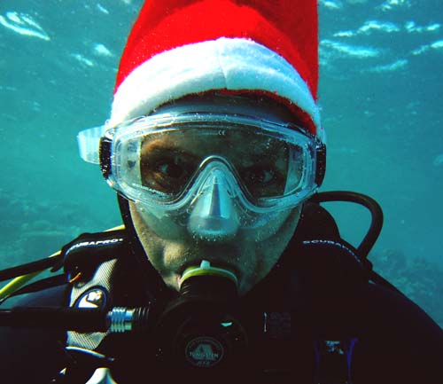 Nikolaus Diver