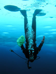 upsidedown_icediver_220.jpg